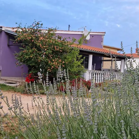 Charming Cozy Holliday House 2+2 Дом отдыха Valtura